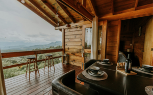 How Much Can an Airbnb Make in Shenandoah Valley? Revenue & Occupancy Reality